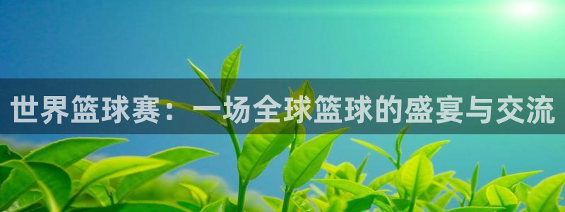世界篮球赛：一场全球篮球的盛宴与交流