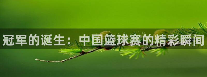 冠军的诞生：中国篮球赛的精彩瞬间