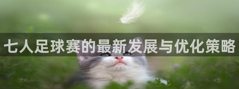 中欧体育官方网站在线下载：七人足球赛的最新发展与优化策略