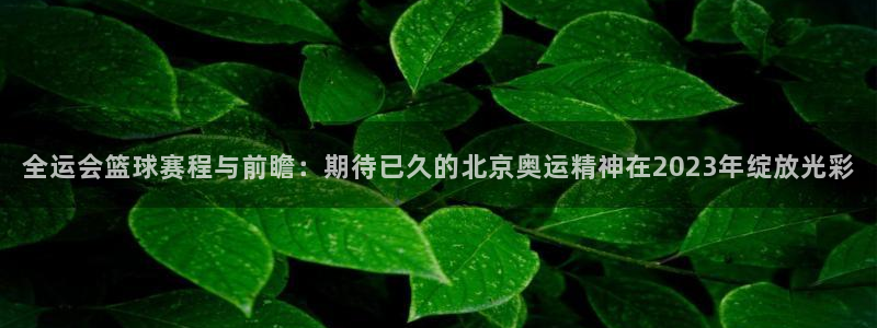 Zoty中欧体育平台app下载地址：全运会篮球赛程与前瞻：期