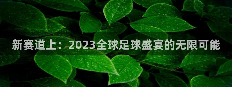 中欧体育封号怎么解封的：新赛道上：2023全球足球盛宴的无限