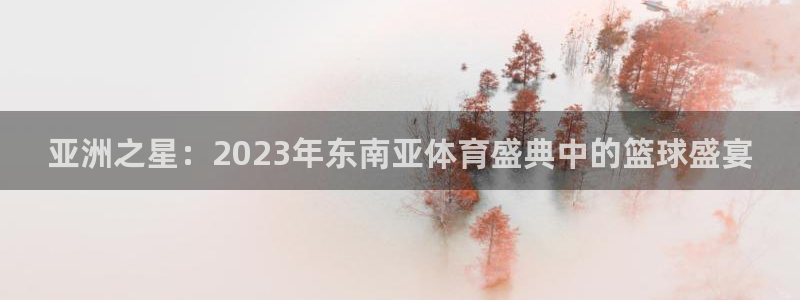 中欧体育网站入口：亚洲之星：2023年东南亚体育盛典中的篮球