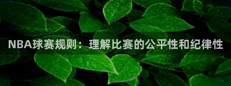 中欧体育合法吗：NBA球赛规则：理解比赛的公平性和纪律性