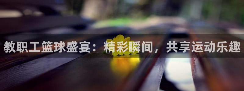 中欧体育app最新版下载安装苹果：教职工篮球盛宴：精彩瞬间，